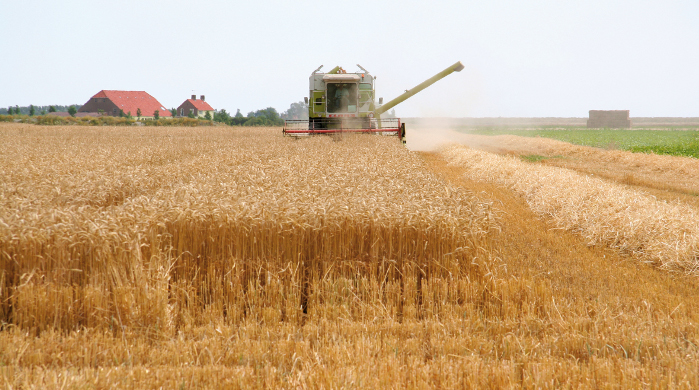 Agrarische feiten en cijfers
